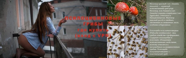 ПСИЛОЦИБИНОВЫЕ ГРИБЫ Верхний Тагил