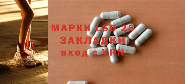 ПСИЛОЦИБИНОВЫЕ ГРИБЫ Верхний Тагил