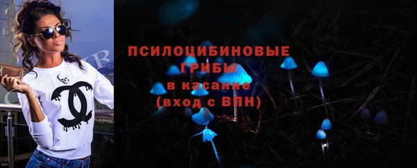 ПСИЛОЦИБИНОВЫЕ ГРИБЫ Верхний Тагил