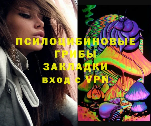 амф Верея