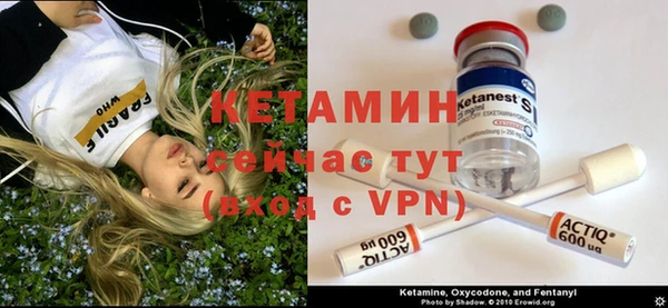 ПСИЛОЦИБИНОВЫЕ ГРИБЫ Верхний Тагил
