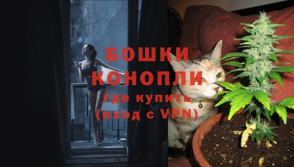 ПСИЛОЦИБИНОВЫЕ ГРИБЫ Верхний Тагил
