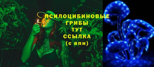 ПСИЛОЦИБИНОВЫЕ ГРИБЫ Верхний Тагил