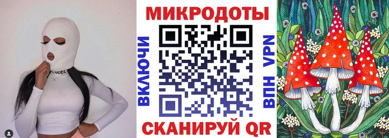 Галлюциногенные грибы MAGIC MUSHROOMS  Новосокольники 